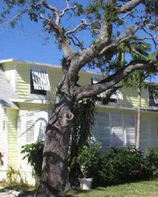 Affiliated Property Services, LLC