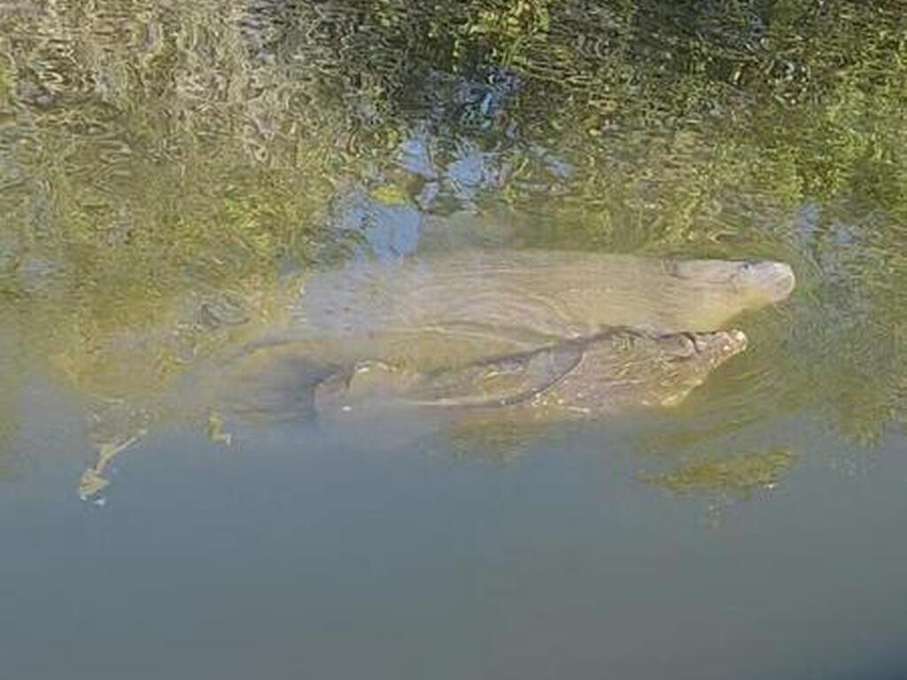 112 Sunset Drive, Cocoa Beach, FL 32931