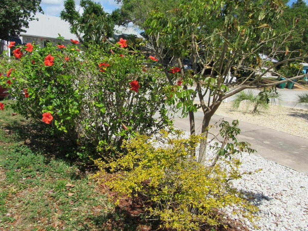 113 Harrison Avenue, Cape Canaveral, FL 32920