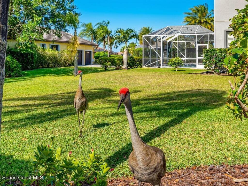 3599 Imperata Drive, Rockledge, FL 32955
