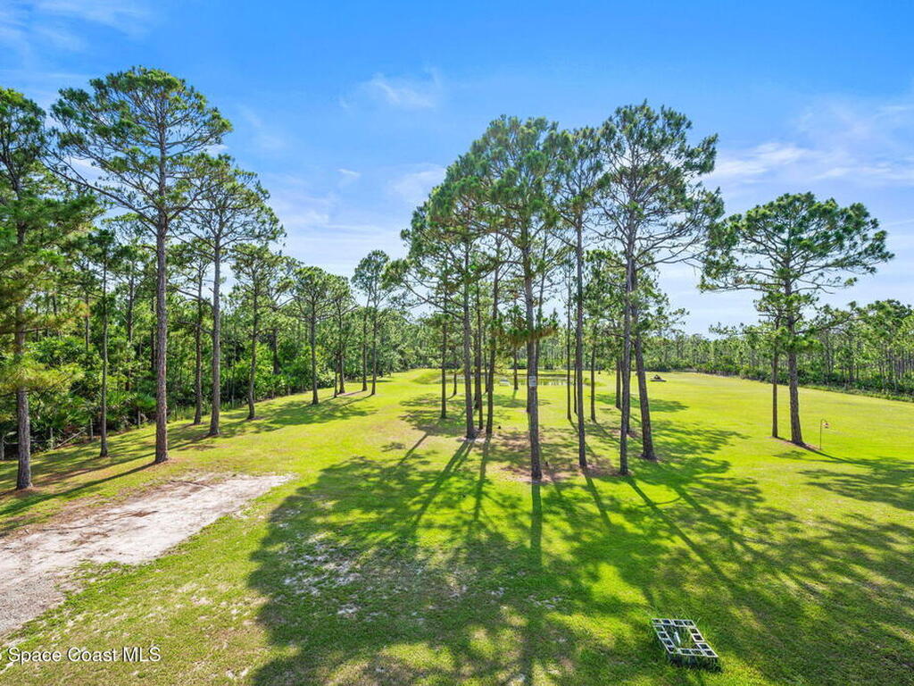 6460 Sapling Avenue, Grant, FL 32949