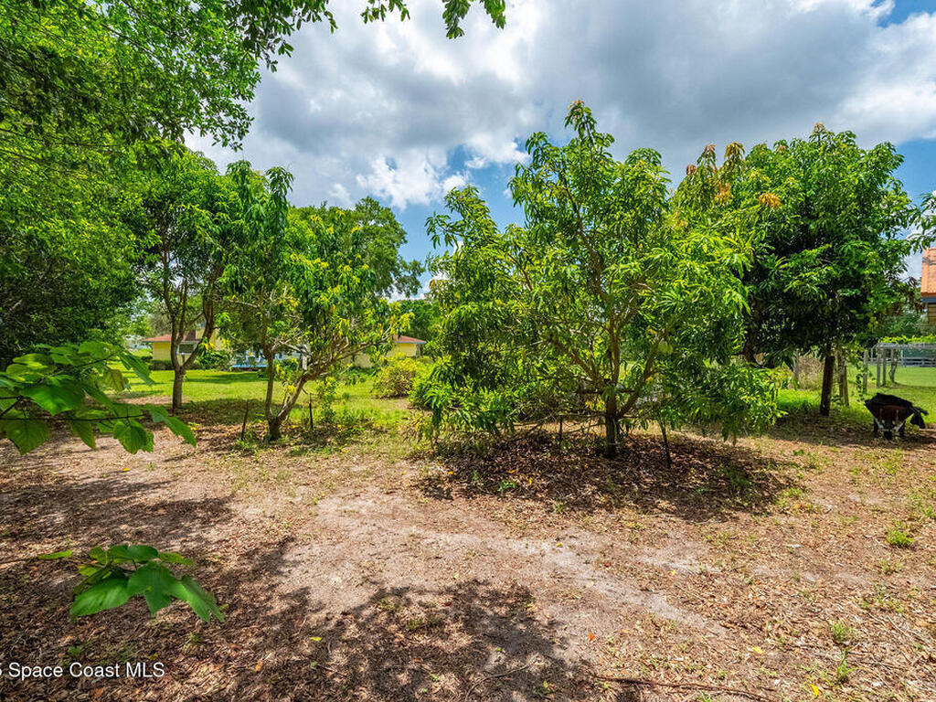 2280 Grove Street, Titusville, FL 32796