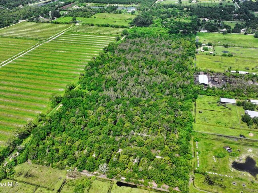 13420 101st Street, Fellsmere, FL 32948