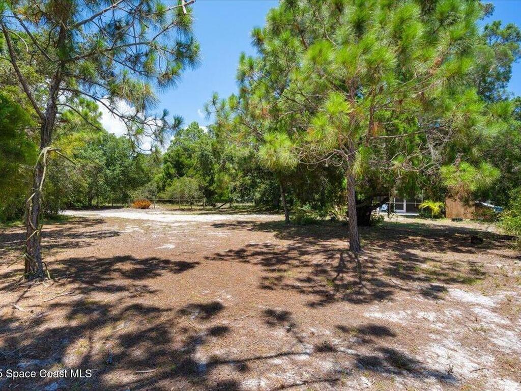 5545 Brabrook Avenue, Grant, FL 32949