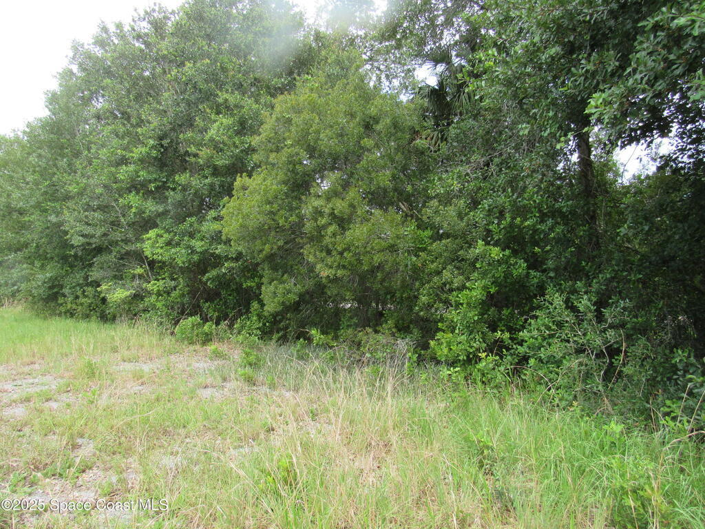 1255 S State Road 415, New Smyrna Beach, FL 32168
