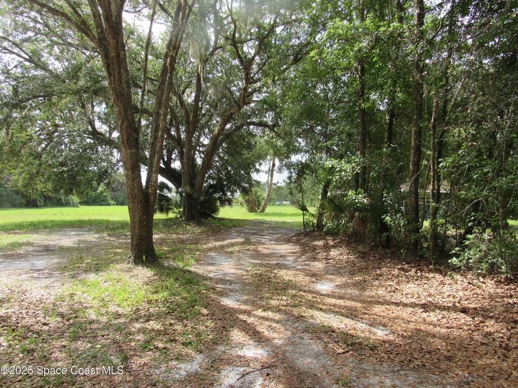 1255 S State Road 415, New Smyrna Beach, FL 32168
