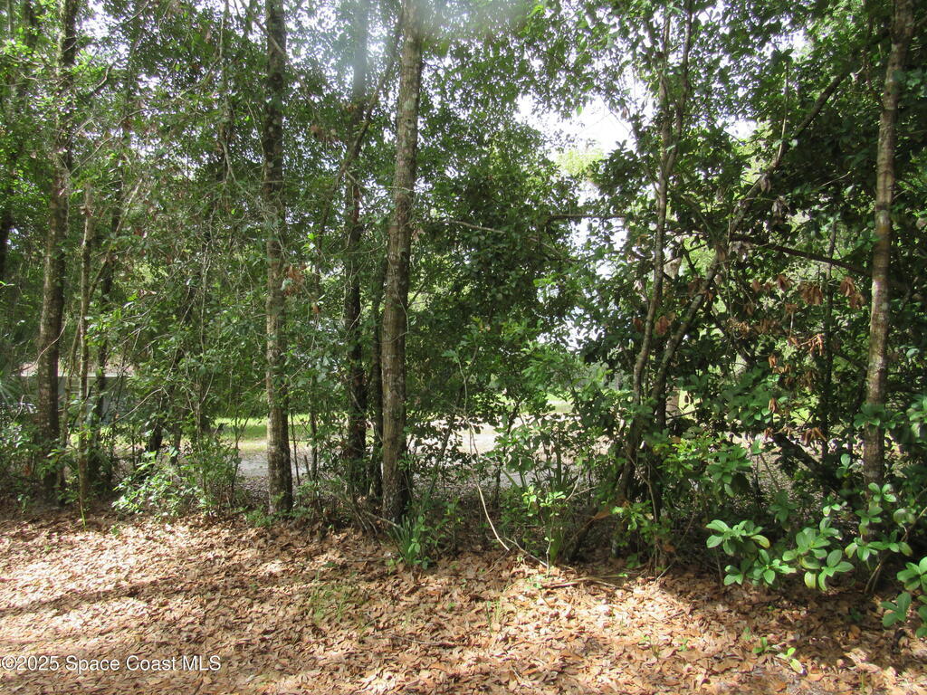 1255 S State Road 415, New Smyrna Beach, FL 32168