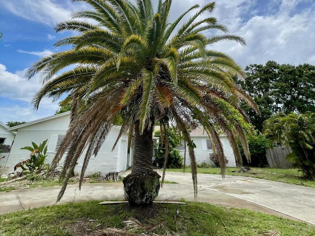 420 Newfound Harbor Drive, Merritt Island, FL 32952