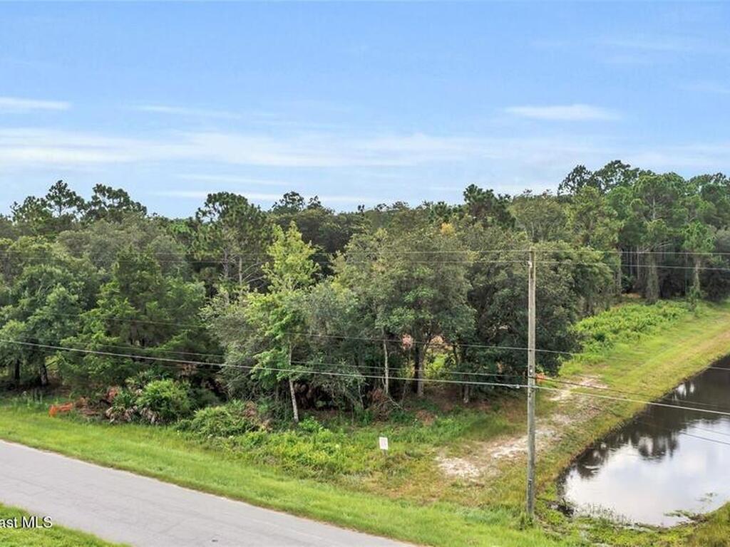 19116 Quinella Street, Orlando, FL 32833
