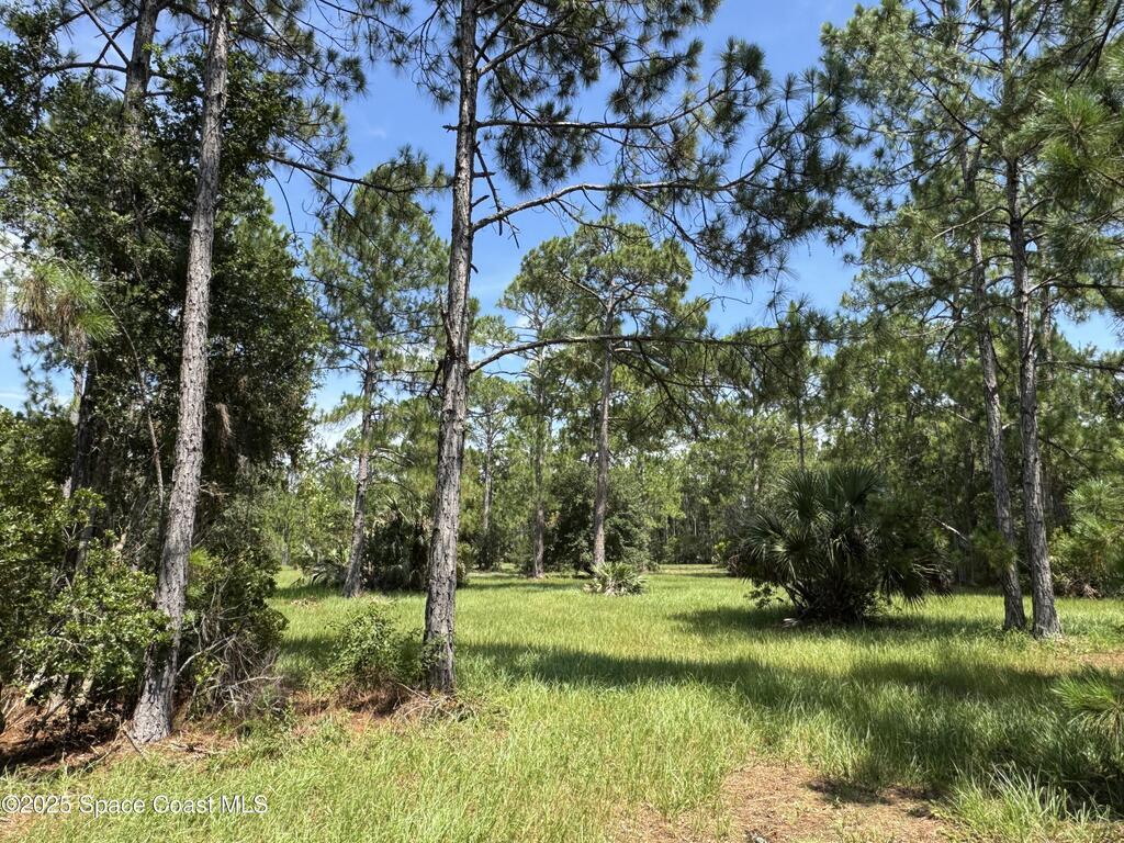 4300 Justa Road, Mims, FL 32754