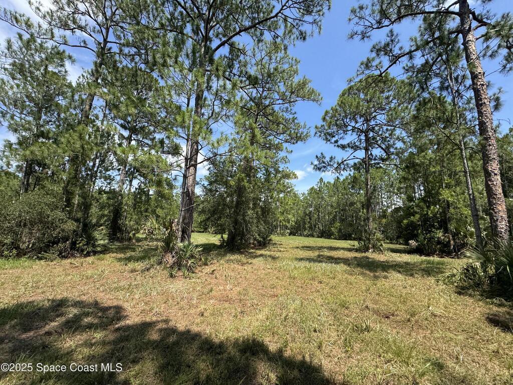 4300 Justa Road, Mims, FL 32754