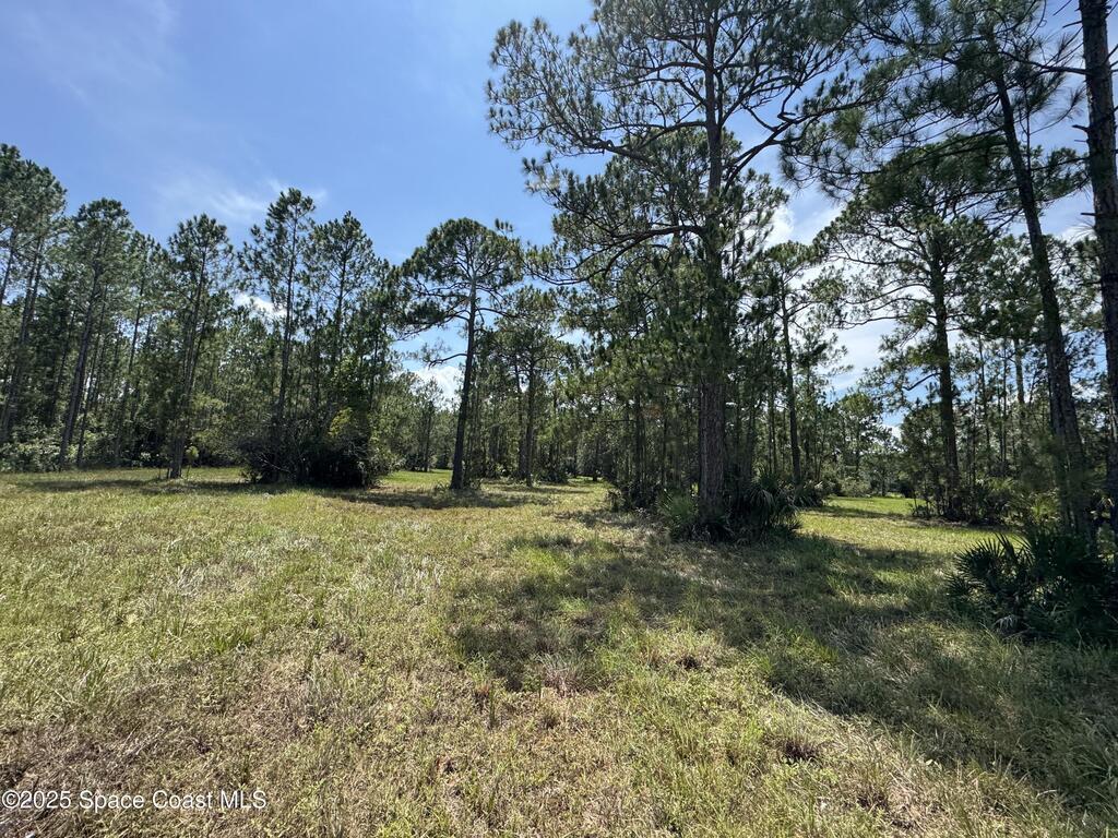 4300 Justa Road, Mims, FL 32754