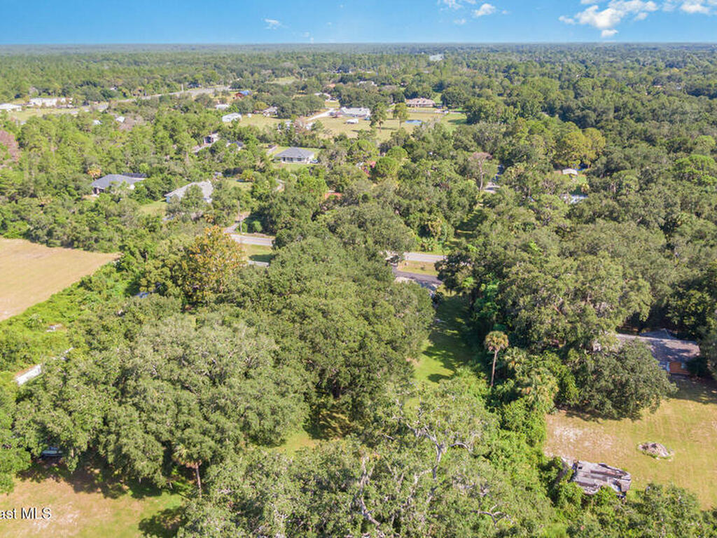 3665 Aurantia Road, Mims, FL 32754