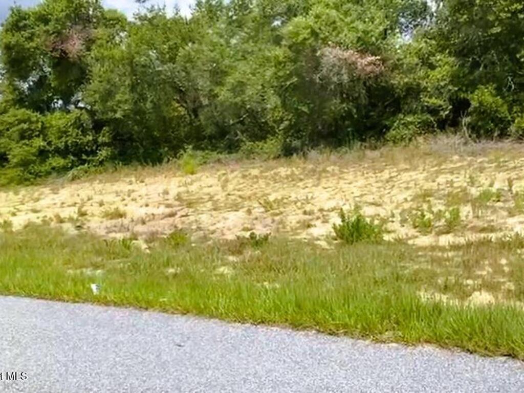 SW 48th Circle, Ocala, FL 34473