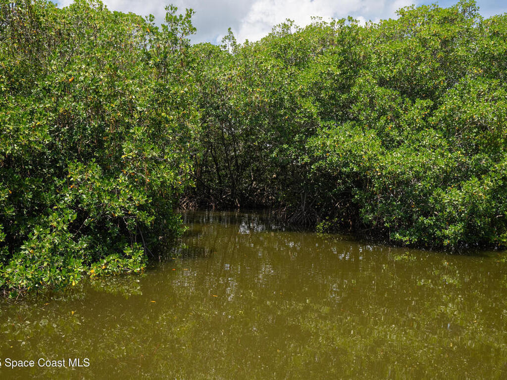 365 Newfound Harbor Drive, Merritt Island, FL 32952