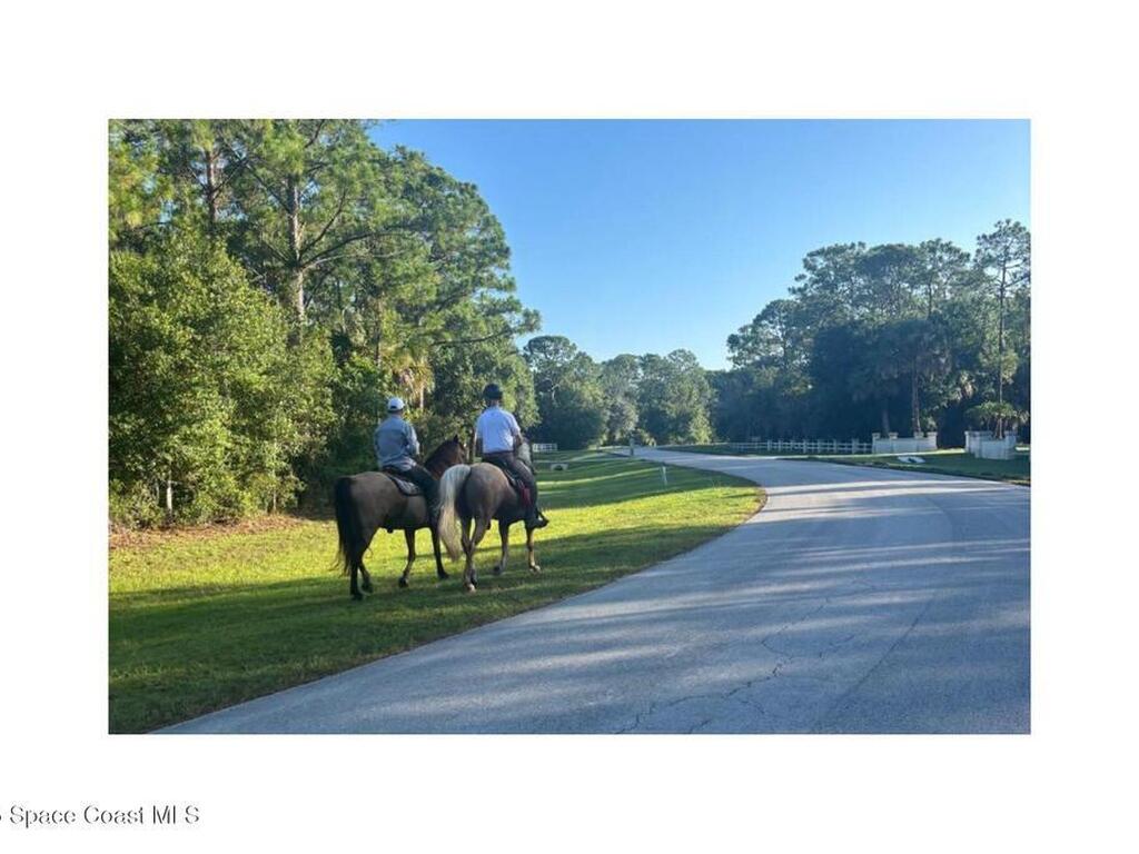 5585 Willoughby Drive, Melbourne, FL 32934