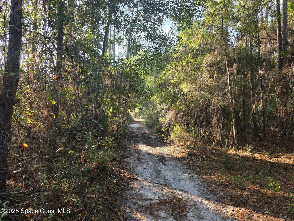 0000 Wood Duck Drive, Mims, FL 32754