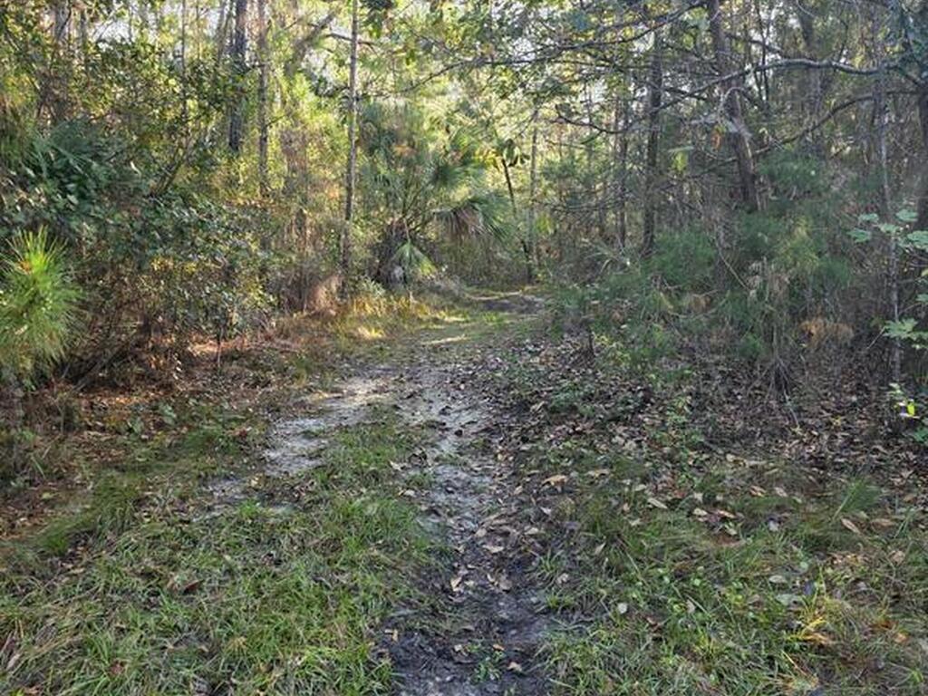 0000 Wood Duck Drive, Mims, FL 32754