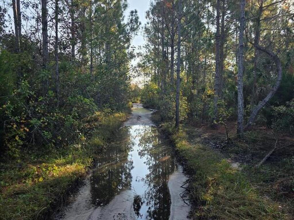 0000 Wood Duck Drive, Mims, FL 32754