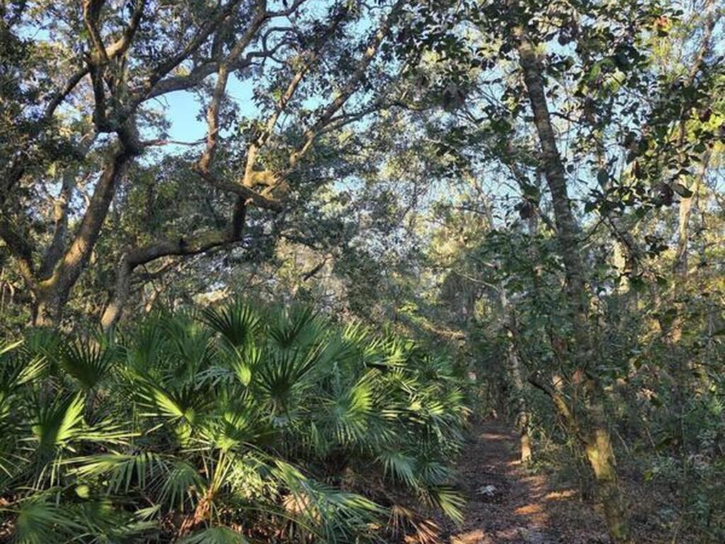 0000 Wood Duck Drive, Mims, FL 32754