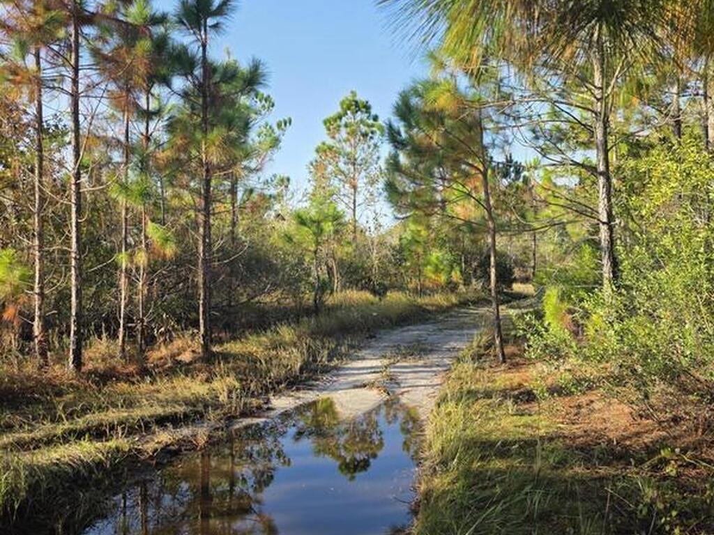 0000 Wood Duck Drive, Mims, FL 32754