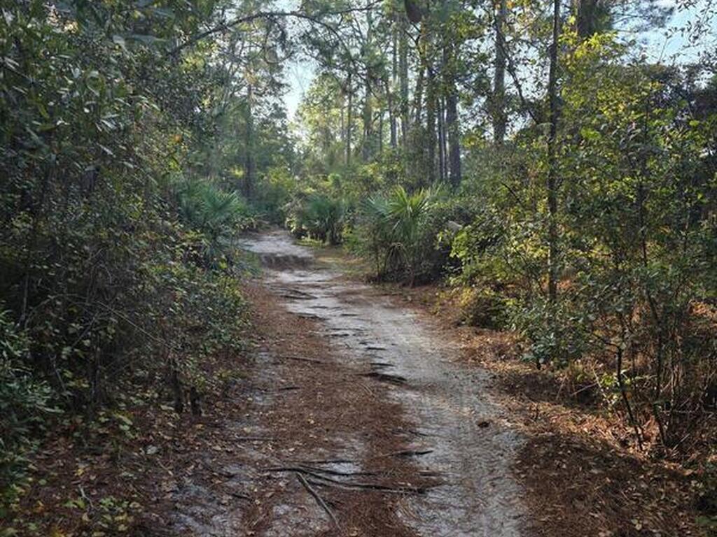 0000 Wood Duck Drive, Mims, FL 32754