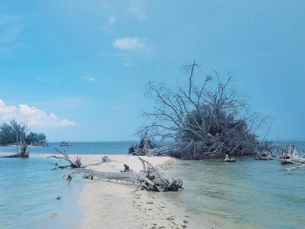 1304 Lichty Street, Palm Bay, FL 32905