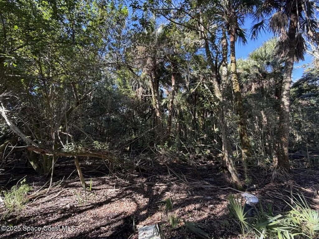 0000 Hammock Road, Mims, FL 32754