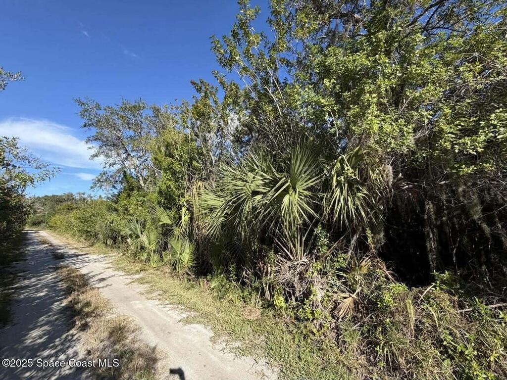 0000 Hammock Road, Mims, FL 32754