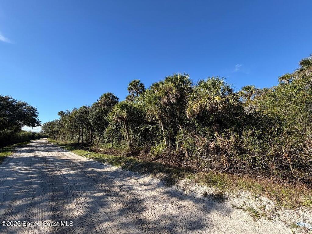 0000 Hammock Road, Mims, FL 32754