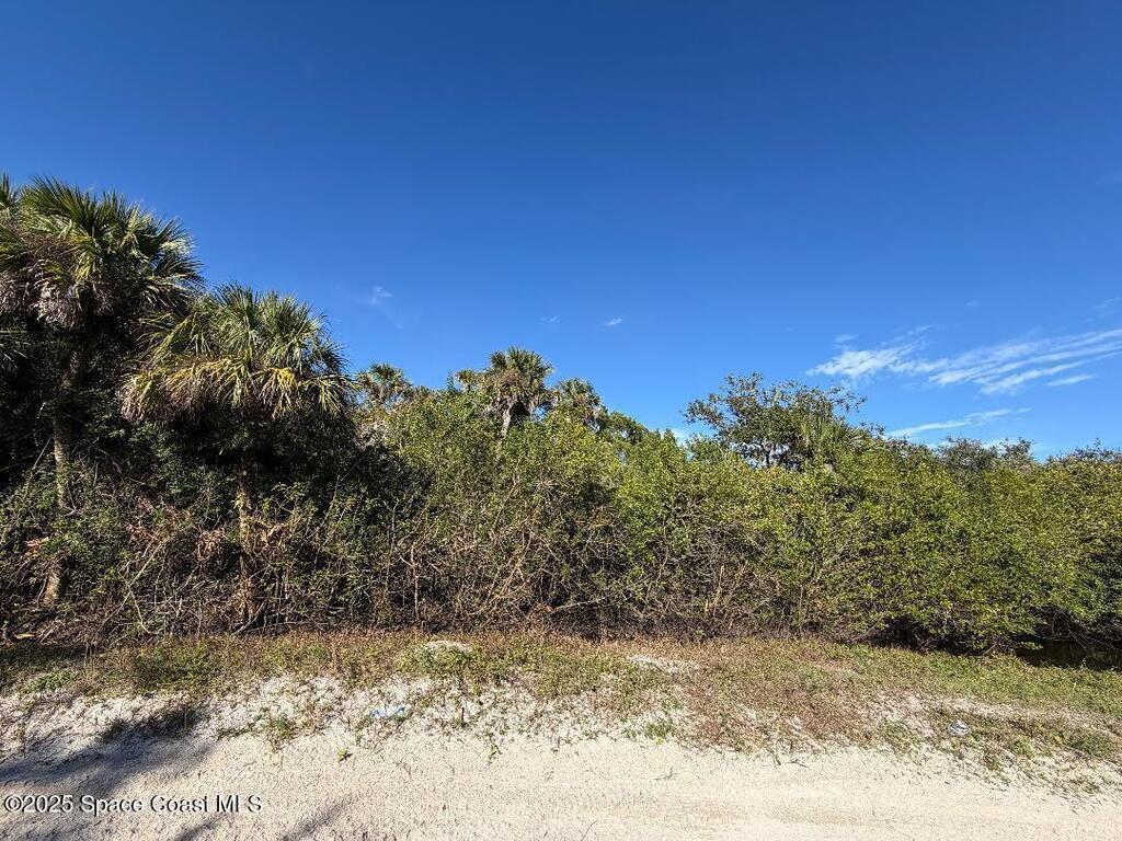 0000 Hammock Road, Mims, FL 32754