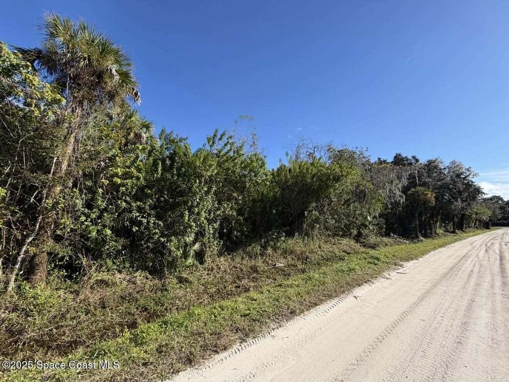 0000 Hammock Road, Mims, FL 32754