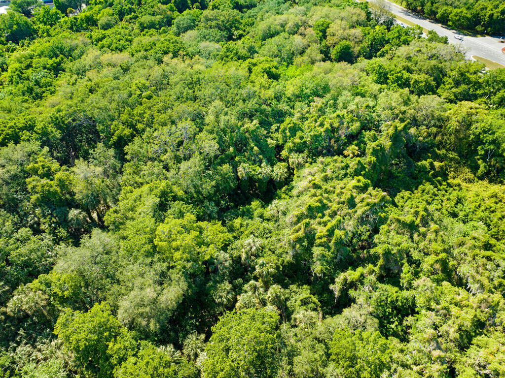 0000 Cheney Highway, Titusville, FL 32780