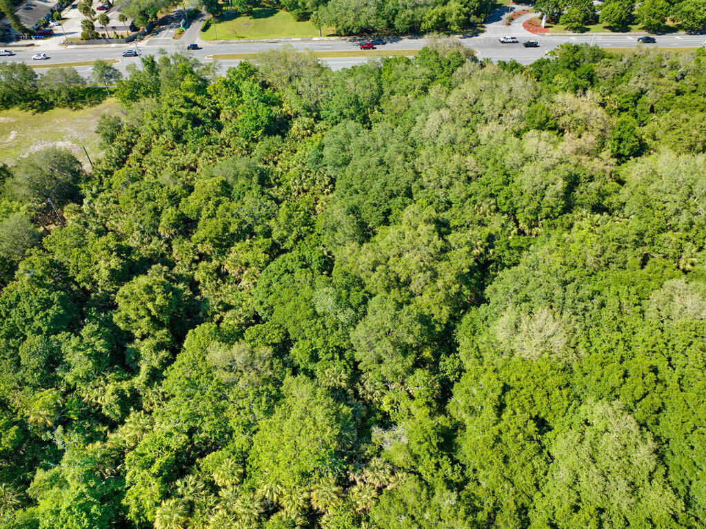 0000 Cheney Highway, Titusville, FL 32780