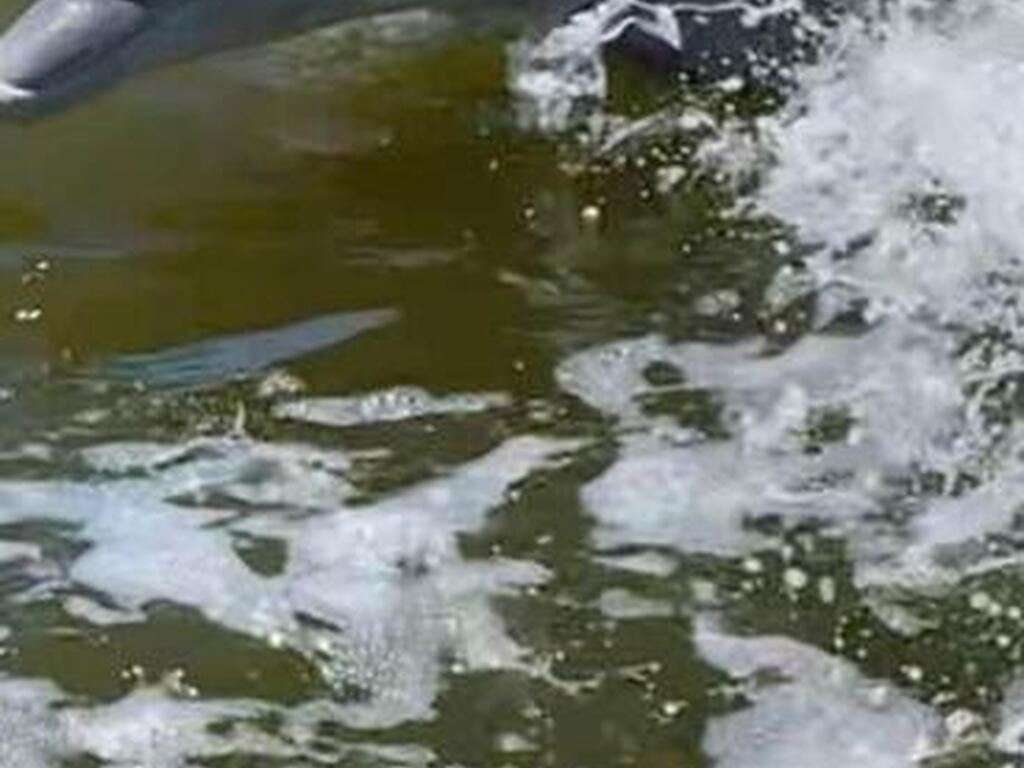 700 Milford Point Drive, Merritt Island, FL 32952