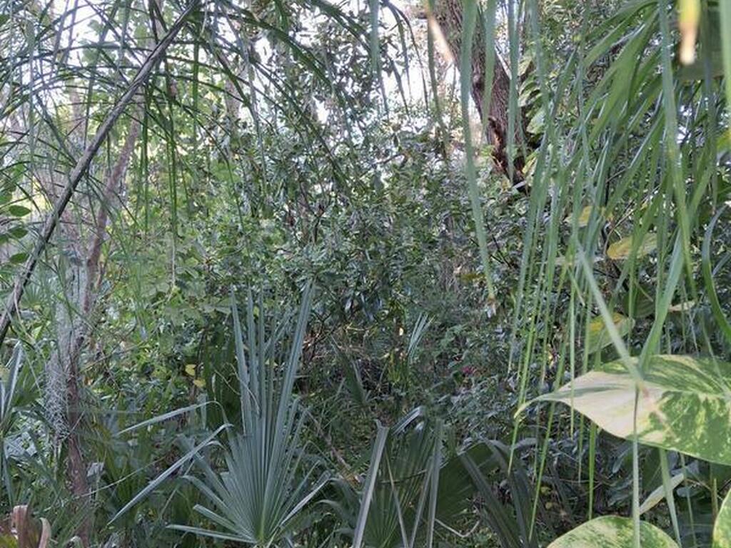 4824 Curtis Boulevard, Cocoa, FL 32927