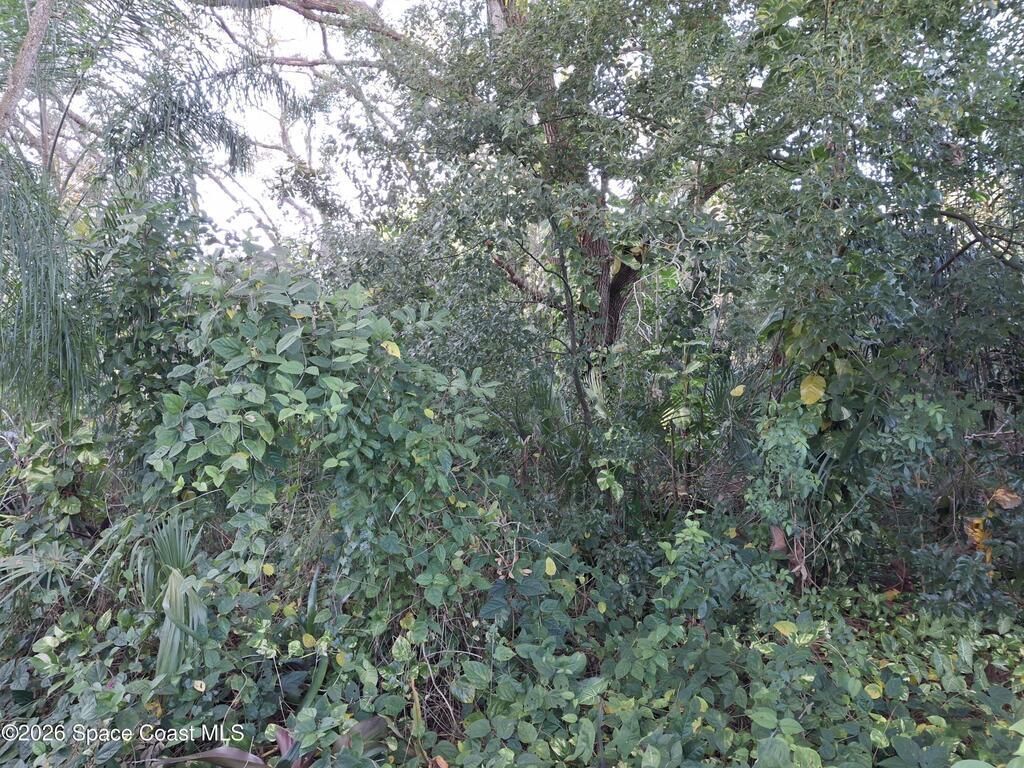 4824 Curtis Boulevard, Cocoa, FL 32927