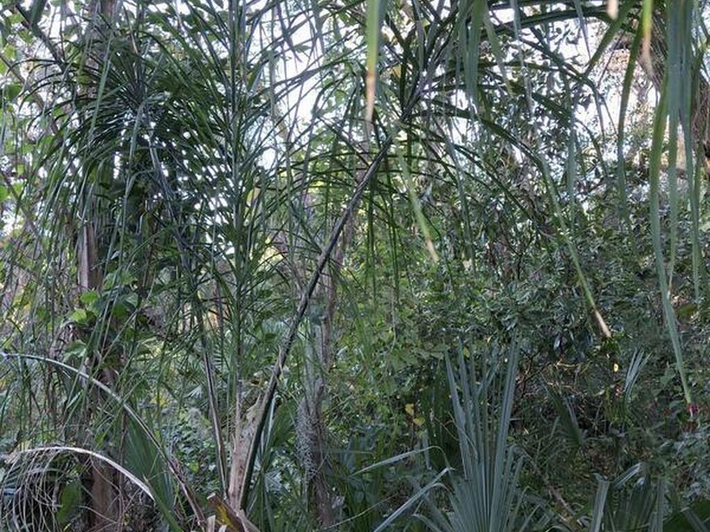 4824 Curtis Boulevard, Cocoa, FL 32927