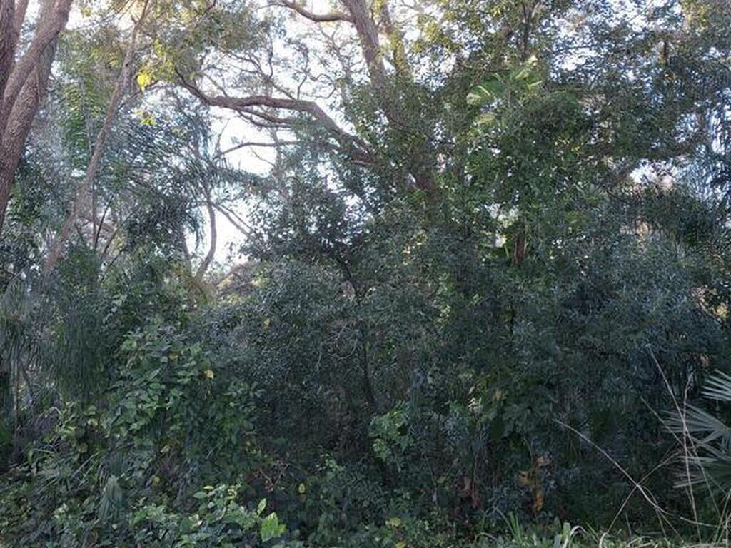 4824 Curtis Boulevard, Cocoa, FL 32927