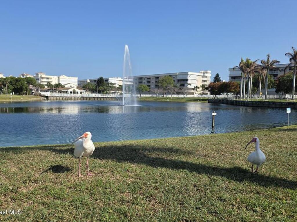 604 Shorewood Drive, Cape Canaveral, FL 32920