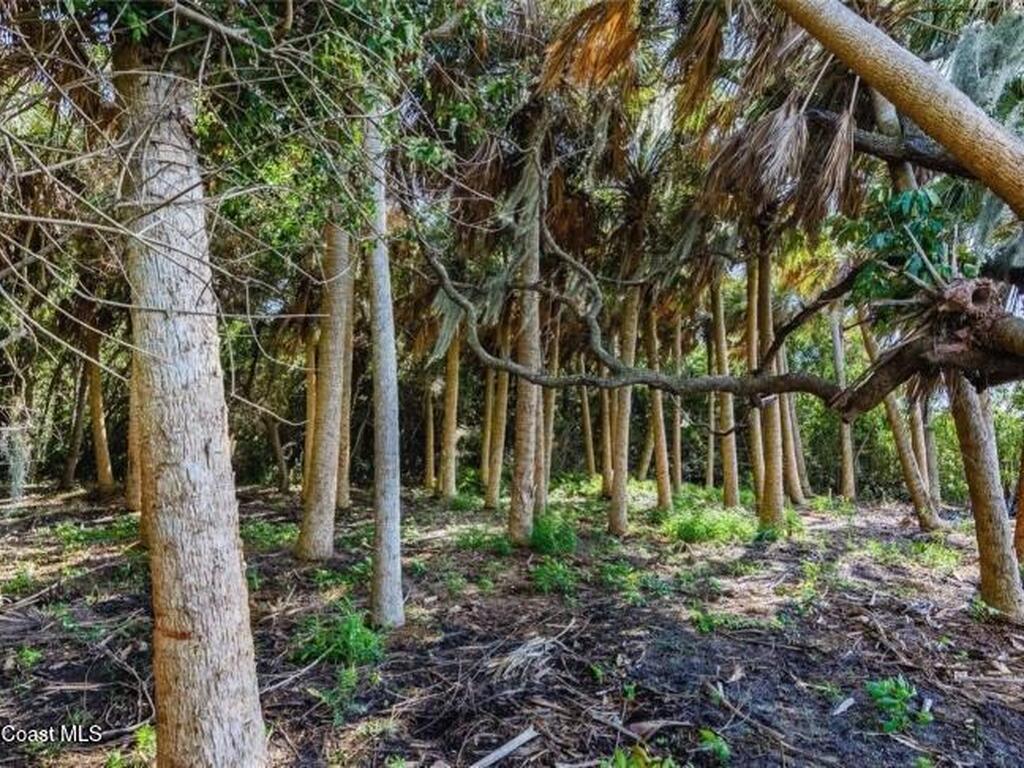 2940 Maritime Lane, Merritt Island, FL 32953