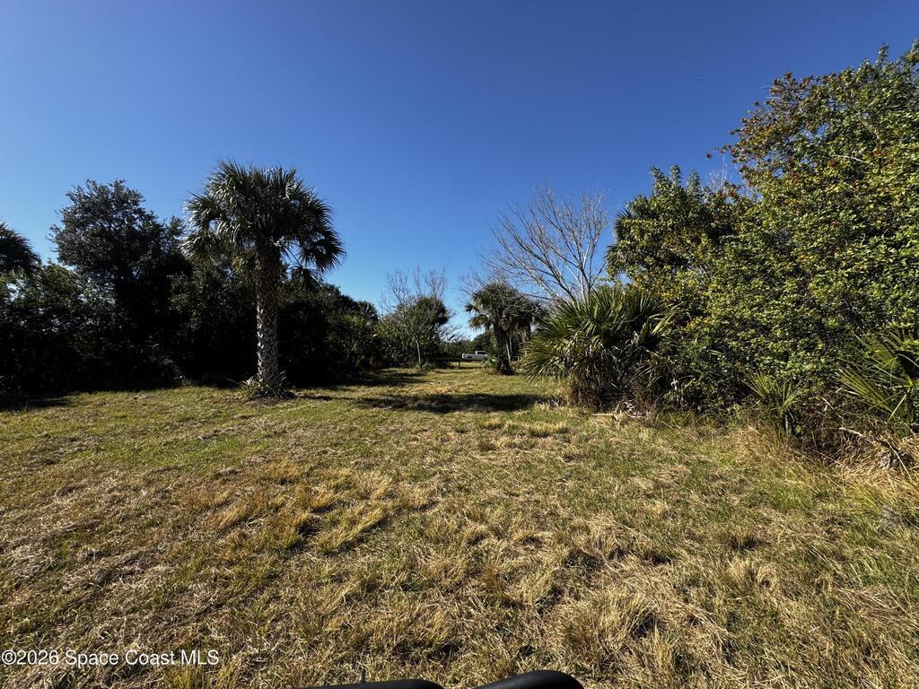 Grantline Road, Mims, FL 32754