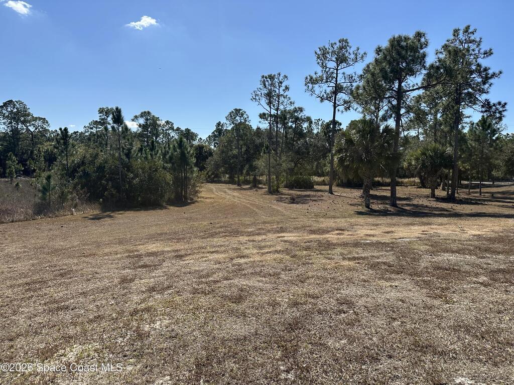 14650 87th Street, Fellsmere, FL 32948