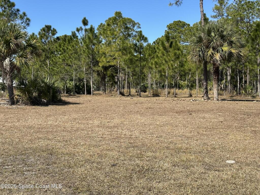 14650 87th Street, Fellsmere, FL 32948