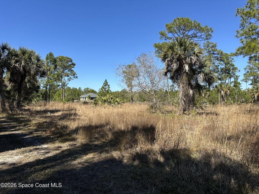 14650 87th Street, Fellsmere, FL 32948