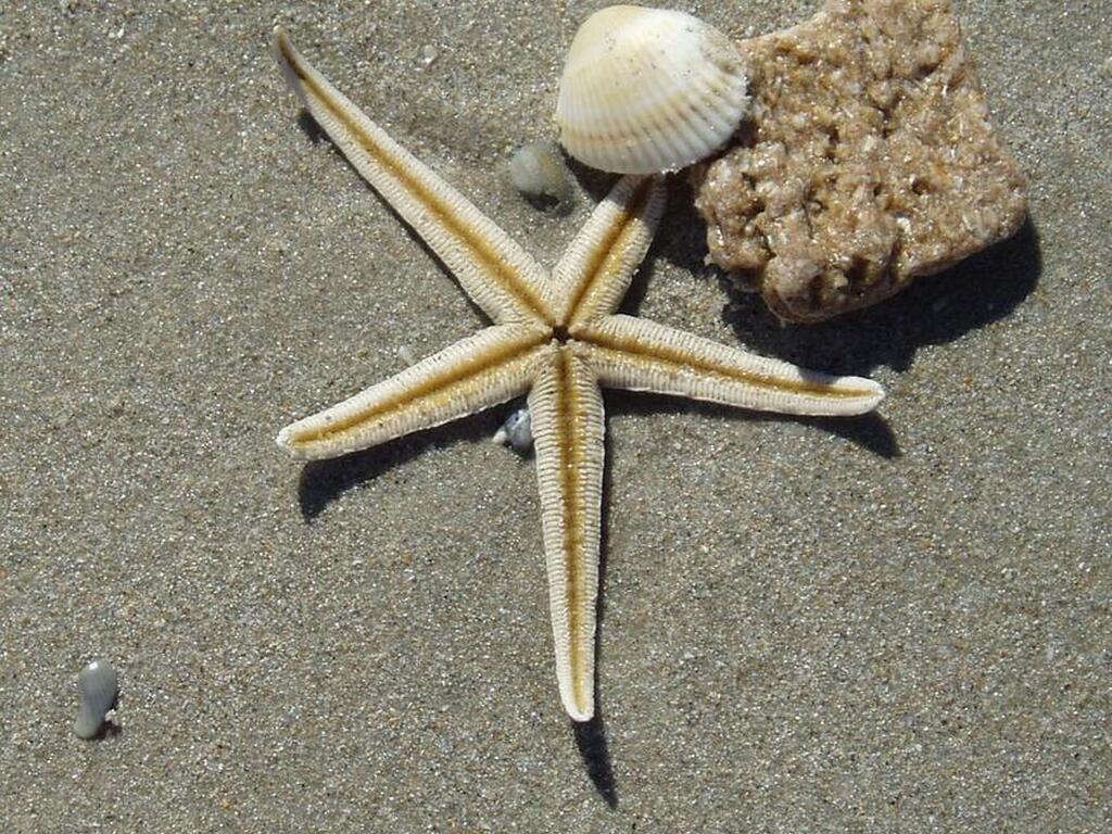 586 N Wickham Road, Melbourne, FL 32935