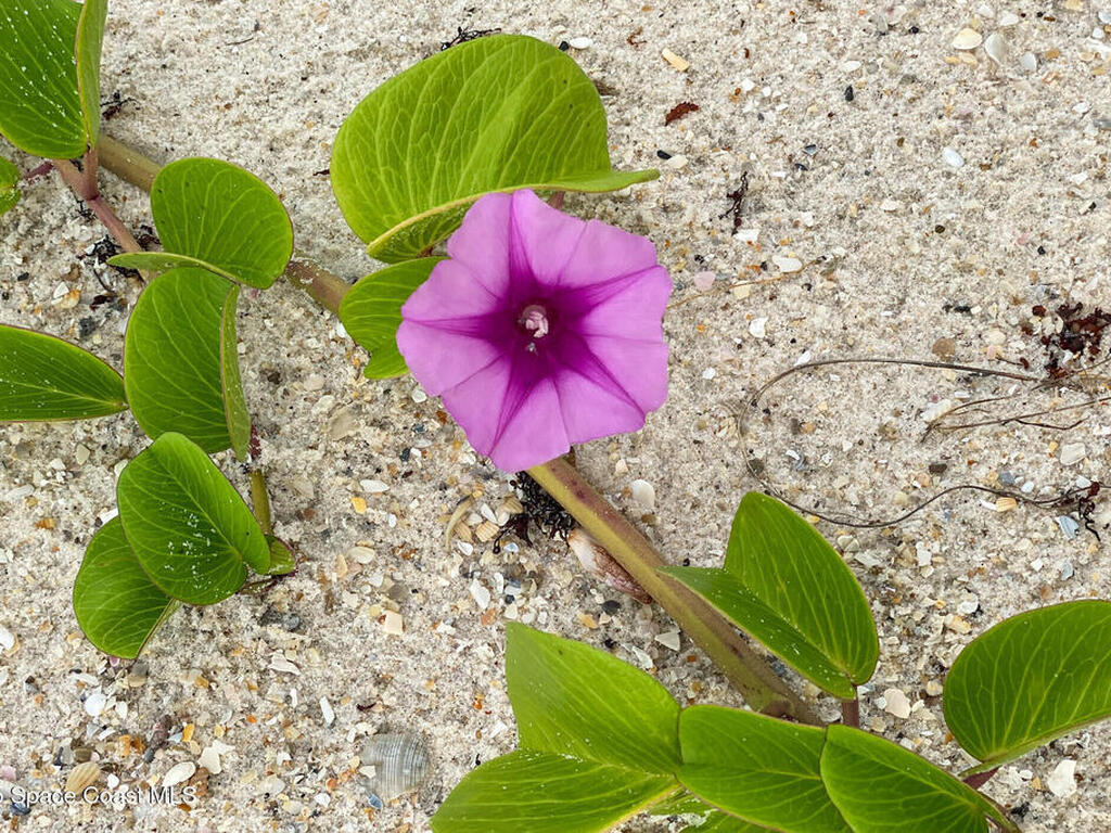 586 N Wickham Road, Melbourne, FL 32935