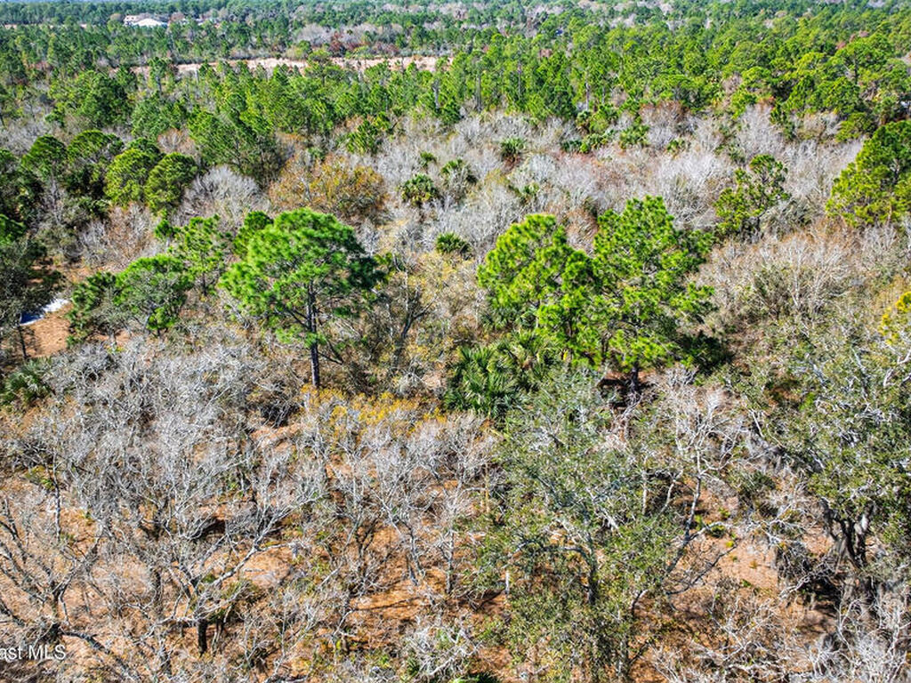 000a Old Mission Road, Malabar, FL 32950