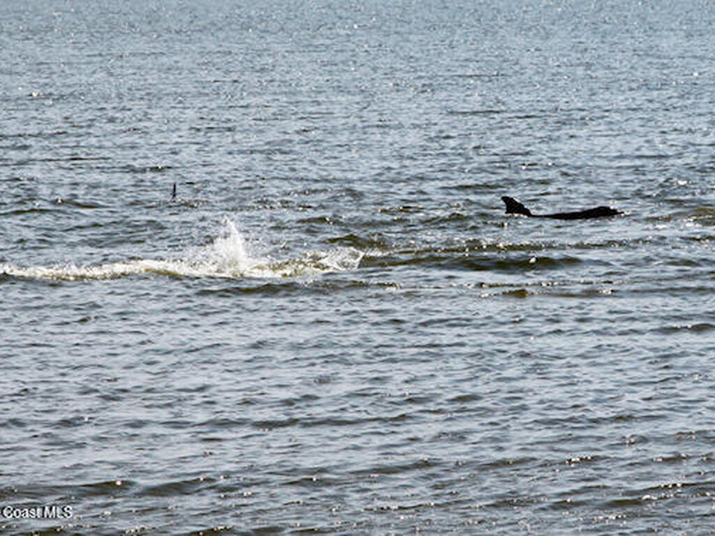 650 Loggerhead Island Drive, Satellite Beach, FL 32937