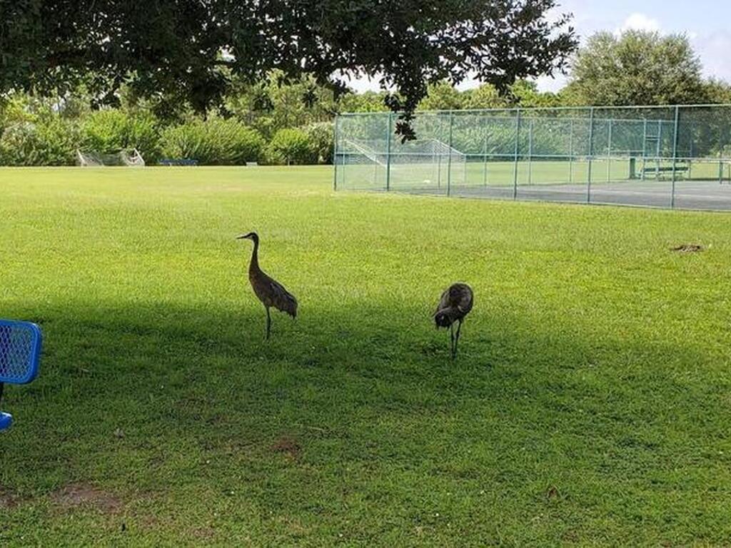 1820 Kara Place, Palm Bay, FL 32908